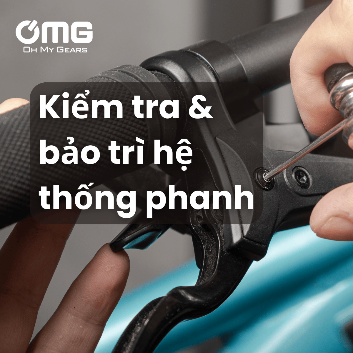 Hướng dẫn kiểm tra tình trạng má phanh xe đạp