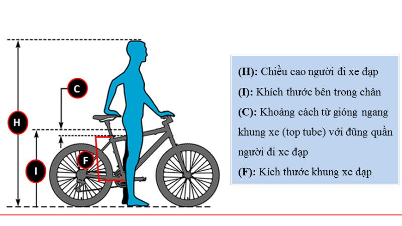 Nguyên nhân khiến khung xe đạp bị cong và cách phòng tránh