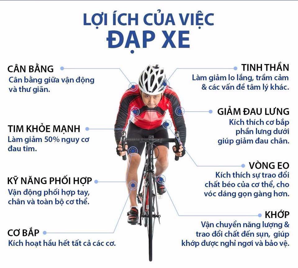 Những lợi ích tuyệt vời của đạp xe buổi sáng đối với sức khỏe