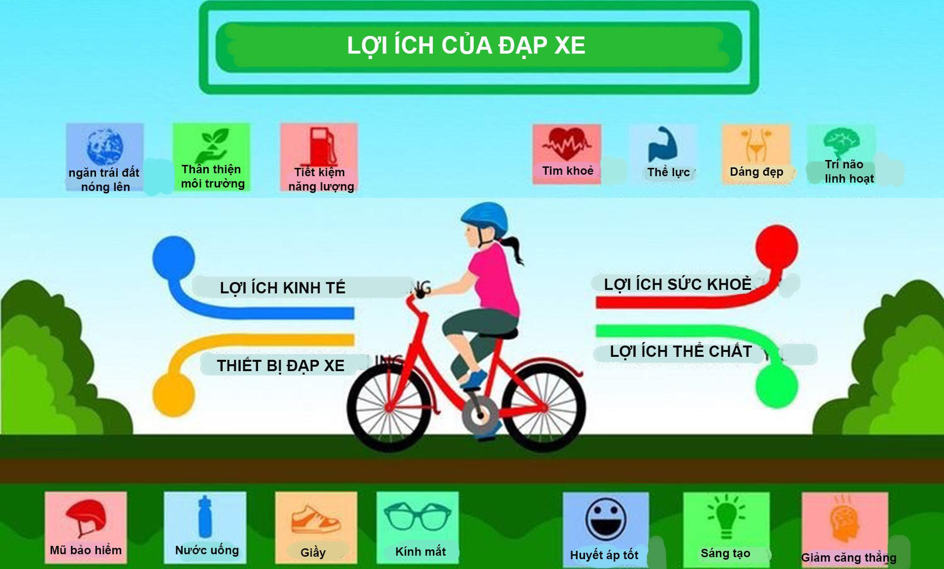 Những lưu ý quan trọng khi đạp xe hàng ngày